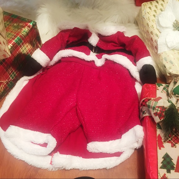 Dog Santa Claus 🎅 costume - Picture 2 of 6